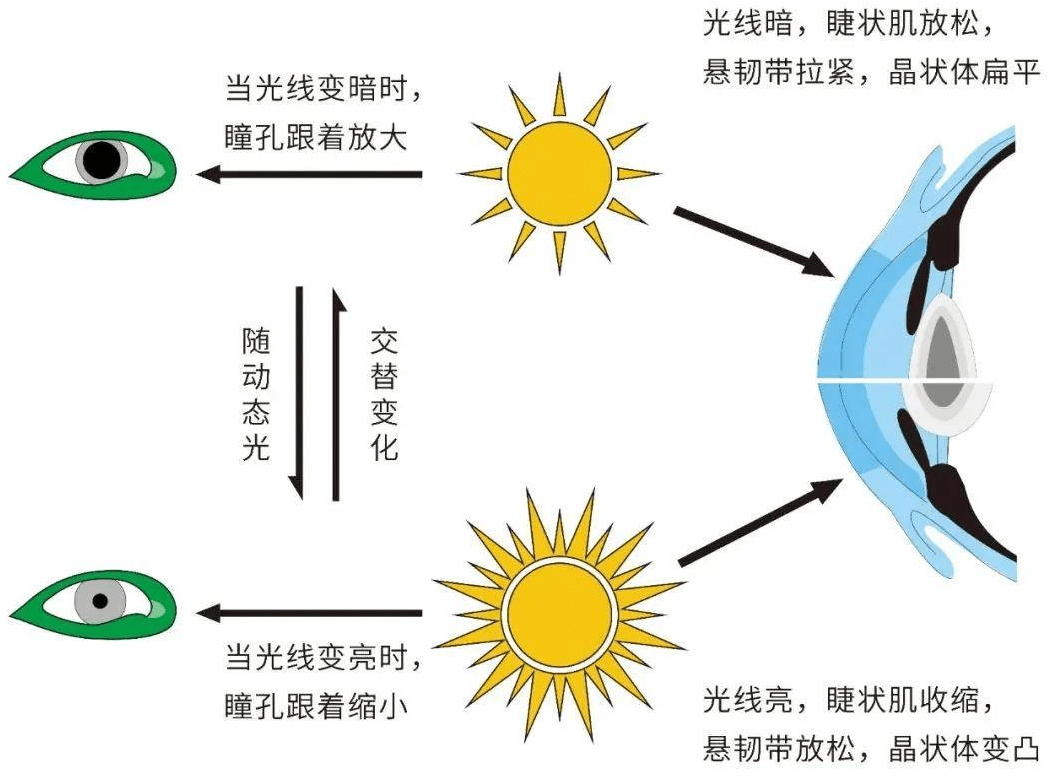 华为不伤眼睛的手机
:护眼台灯对眼睛有伤害吗?不伤眼睛的儿童护眼台灯推荐