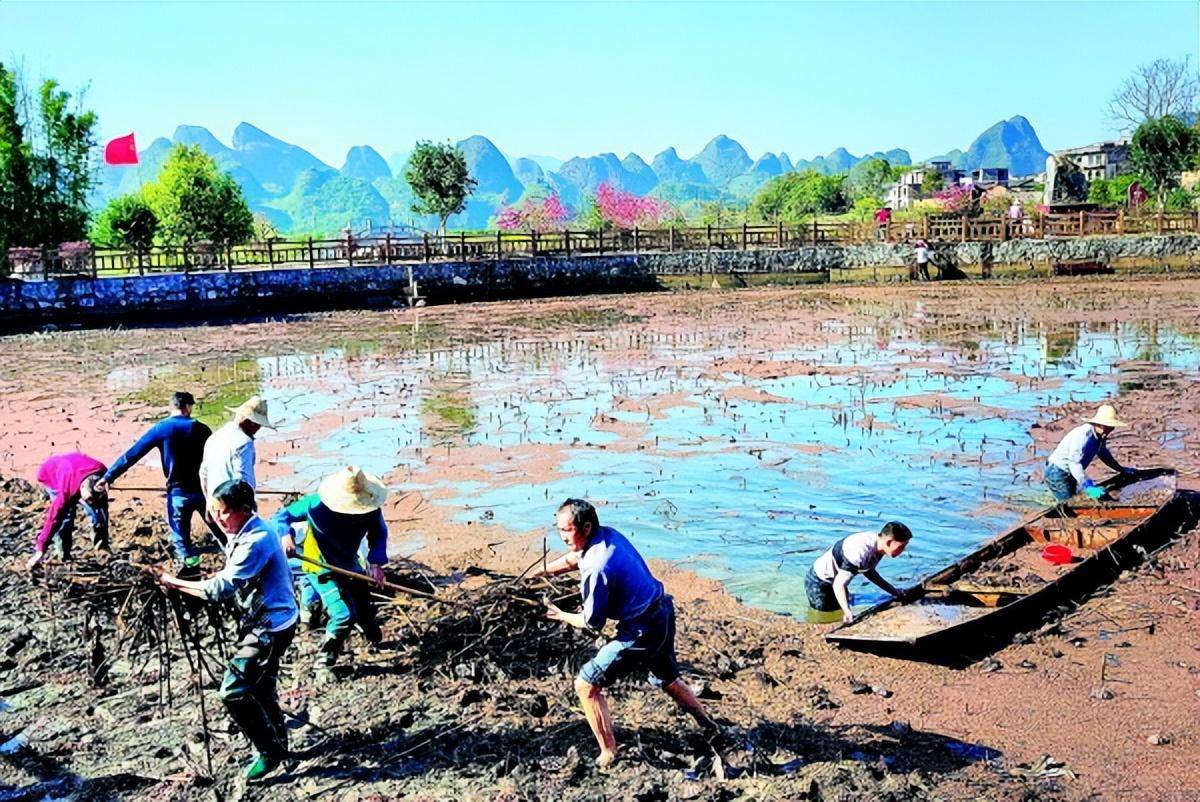 积分全民兑苹果版
:“积分制”促进平乐乡风“大文明”-第1张图片-太平洋在线下载