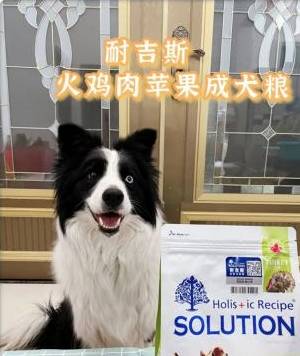 犬易app苹果版
:挑选宠粮有门道，耐吉斯进口狗粮值得推荐