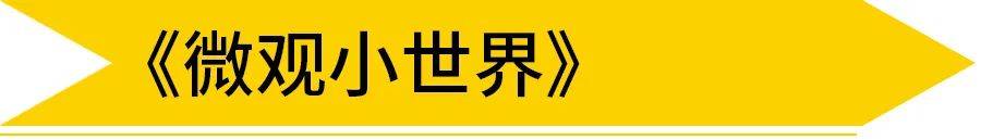 国产版桌游推荐苹果:春雷响，春雨落，是时候带孩子走进昆虫世界了！