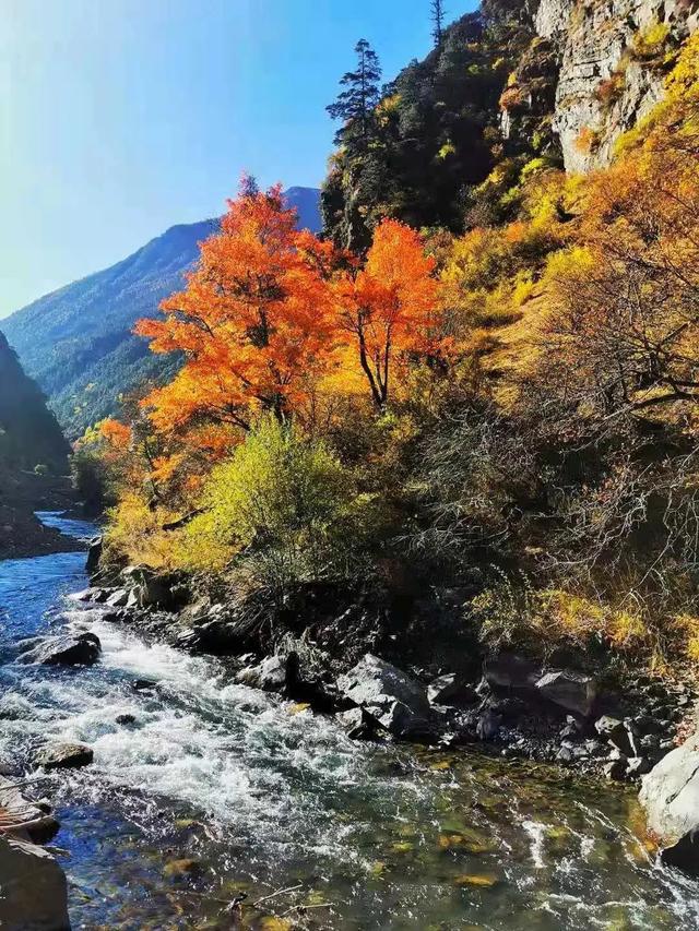 浮动时间安卓版手机悬浮桌面计时器