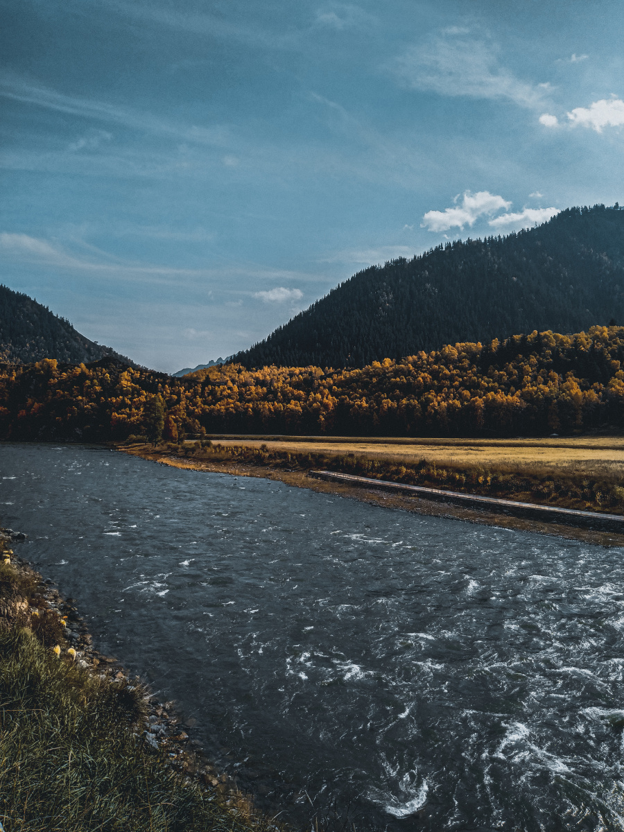 手机打米苹果版(苹果手机打米游戏)-第1张图片-有道翻译官网