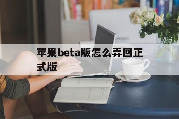 苹果beta版怎么弄回正式版(苹果手机更新beta版想回到原版本)-第11张图片-有道翻译官网