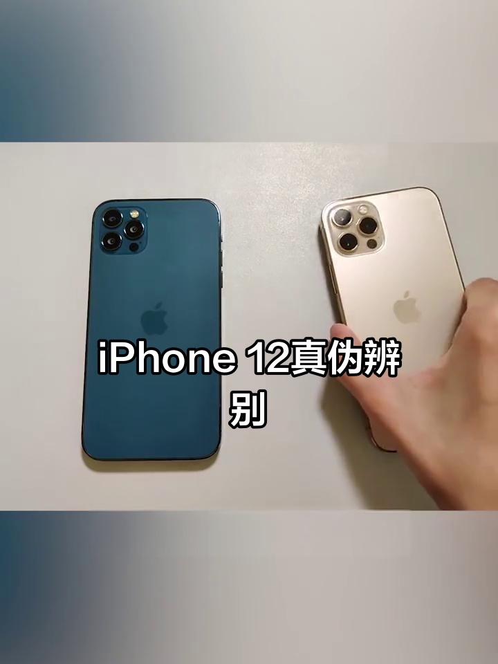 苹果12日版和韩版(iphone12韩版和国行有什么区别)-第6张图片-有道翻译官网 苹果12日版和韩版(iphone12韩版和国行有什么区别)-第6张图片-有道翻译官网