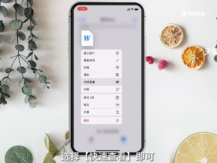 word文档免费版手机版苹果(免费下载word文档手机版苹果)-第1张图片-有道翻译官网